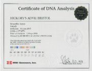 Certificate_DNA - Bristol.jpg